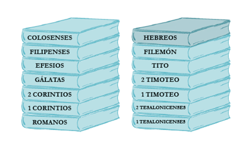 Muchos libros en un libro