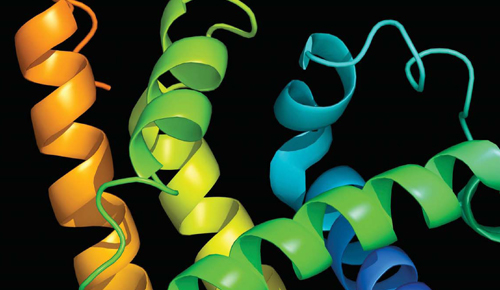 Bioquímica. Polímers