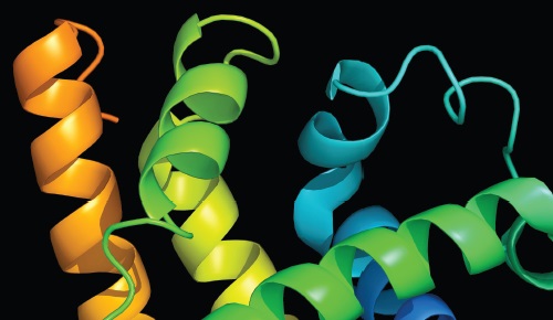 Bioquímica. Polímers