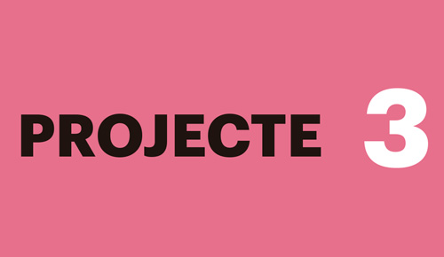 Projecte 3