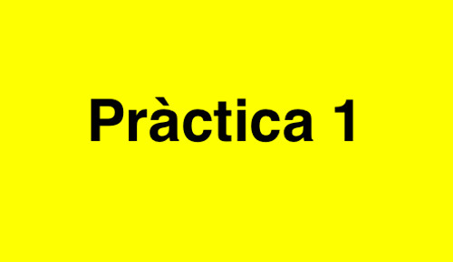 Pràctica 1
