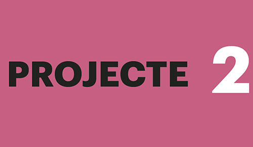 Projecte 2