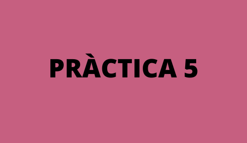 Pràctica 5