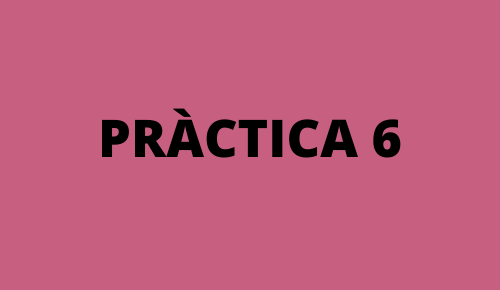 Pràctica 6