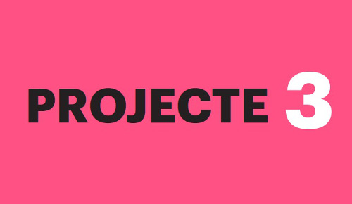 Projecte 3