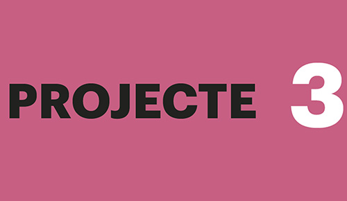 Projecte 3