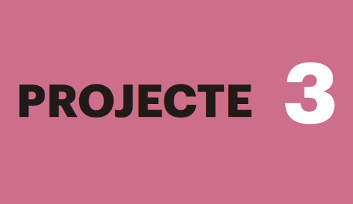 Projecte 3