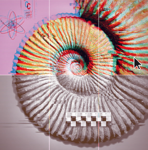 3. L’evolució