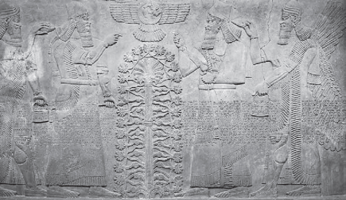 Molta història