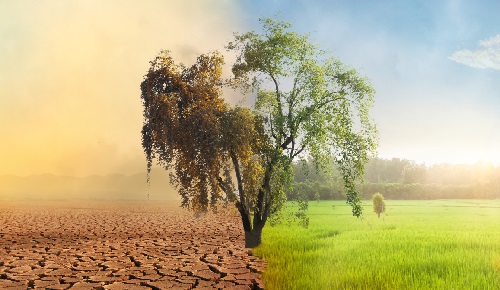 Què és la desertificació?