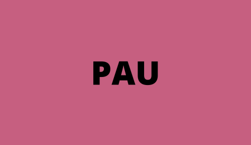 Models d’examen Llengua catalana i Literatura · PAU 2025