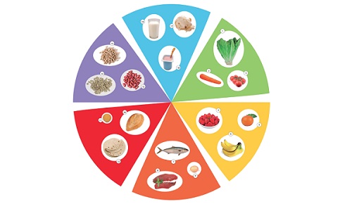 Los alimentos
