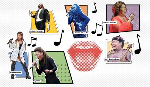 ¿Cómo es nuestra voz?