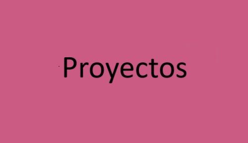 proyecto  Proyectos