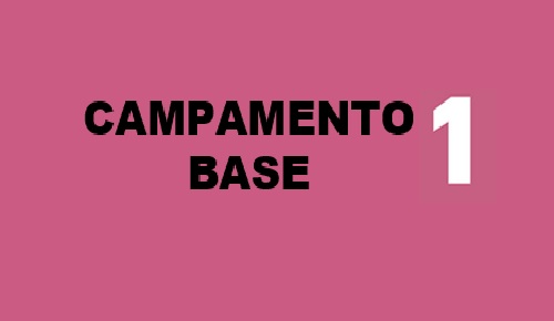 proyecto  Desvirtualizando corazones
