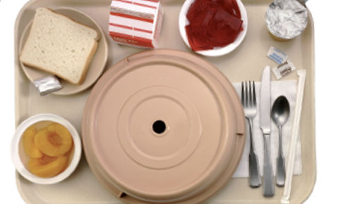 La nutrició i la digestió