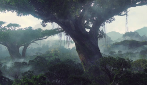 L’activitat humana i el medi ambient