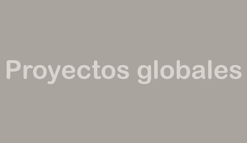 Proyectos globales