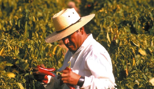 Usar bien los bienes de la Tierra