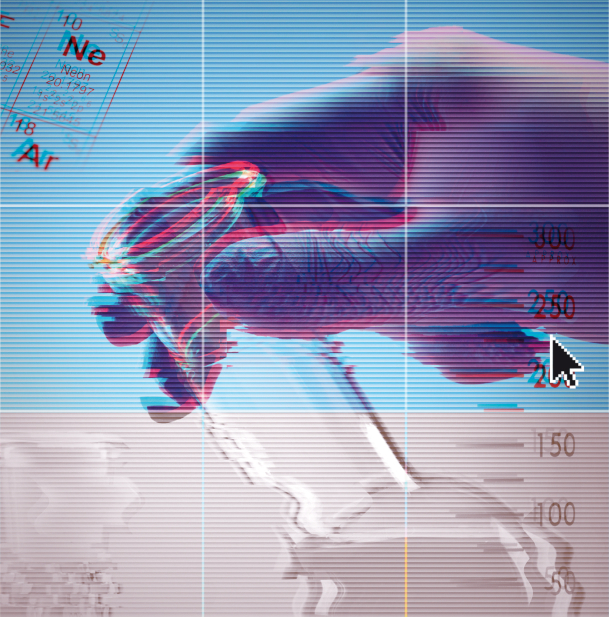 5. Estudi del moviment