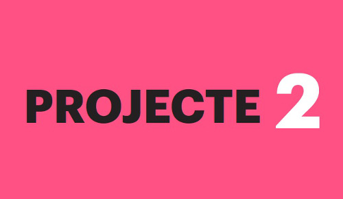 Projecte 2