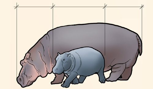 Proporcionalitat numèrica