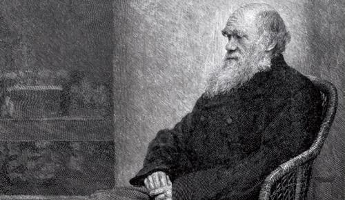 Les espècies, el seu origen i classificació