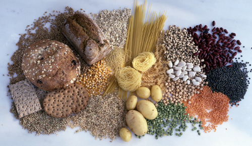 La nutrició i la digestió