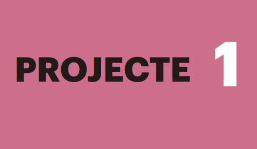 Projecte 1