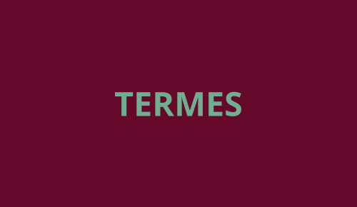 Termes artístics